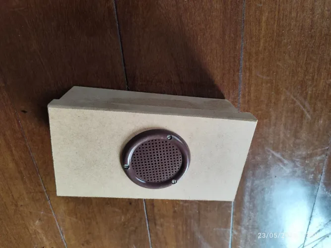300 larvas de tenébrios molitor, mais caixa de criação.