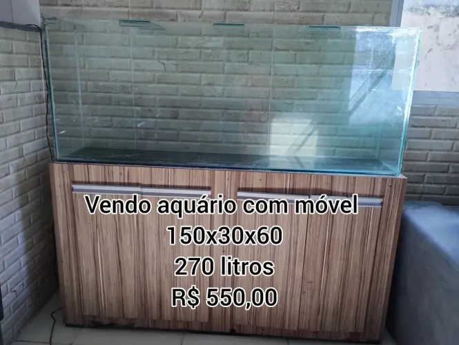 Aquário 270 litros 