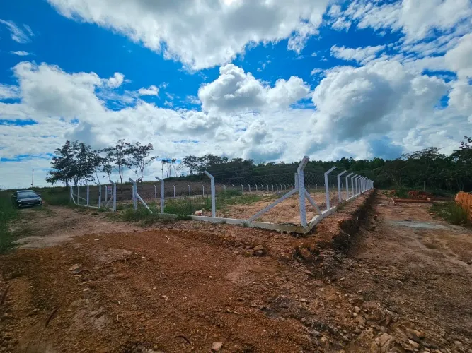Oportunidade gameleira de Goiás