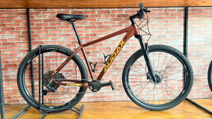 Bicicleta ADX 300 2025
