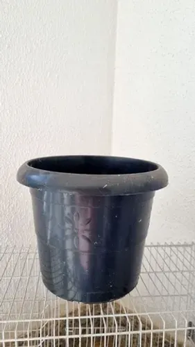 Vaso de planta