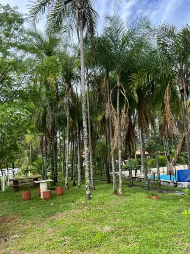 Vendo Fazenda Bela Vista