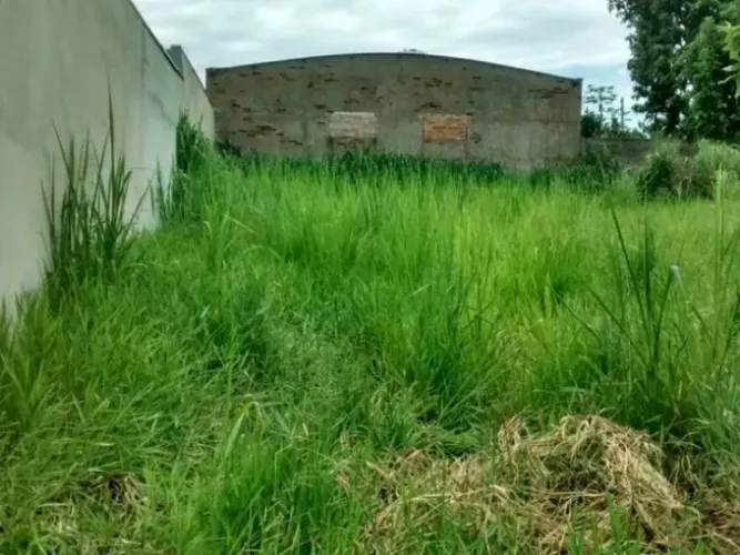 Limpeza do mato do terreno...