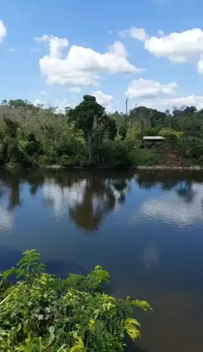 VENDO  FAZENDA BARATA 1.400 HECTARES NA REGIÃO DE AMAJARI RORAIMA ( 6240 )