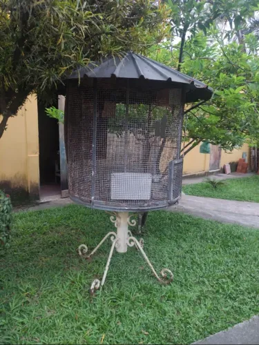 Viveiro pra aves
