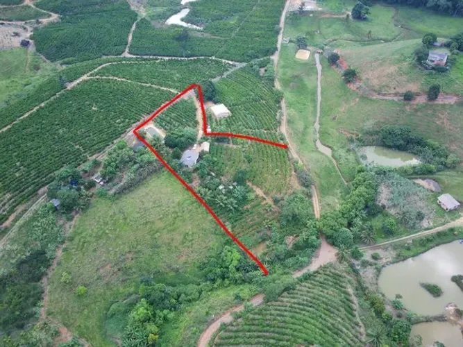 Chácara , muita água 1600 pés de café irrigados casa 2qts