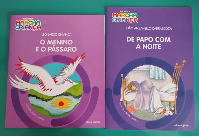 Livros O menino e o pássaro. De papo com a noite.