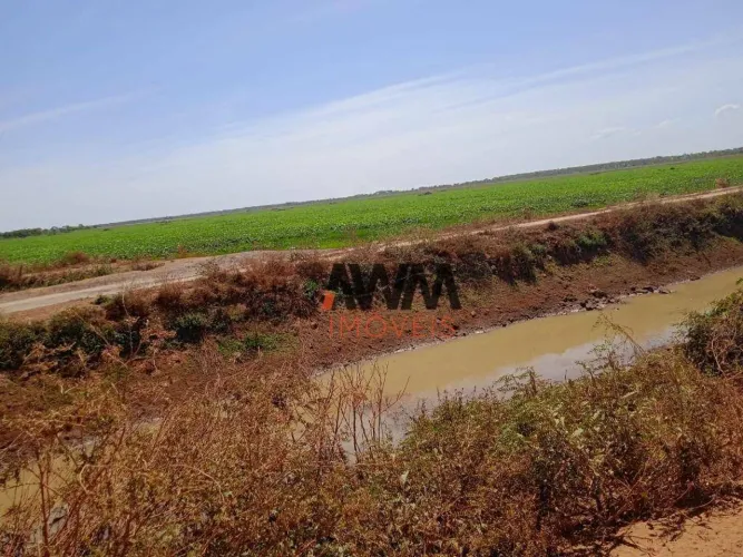 Fazenda à venda, 7260 ha por R$ 225.000.000 - Javaés - Lagoa da Confusão/TO