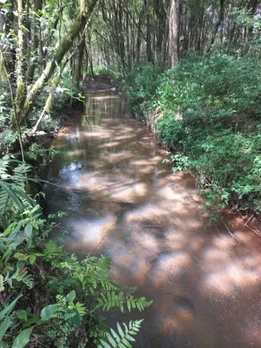 Chácara de 2.500 m2.