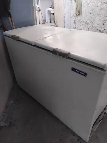 Friser 220V