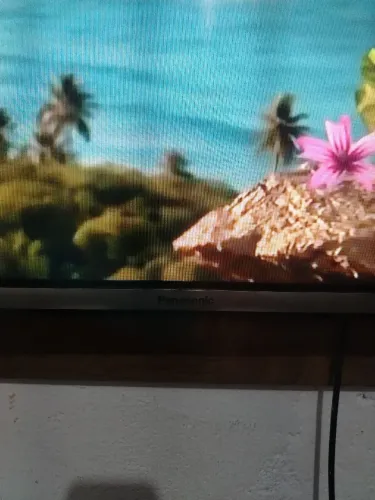 tv Panasonic vieira