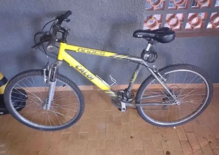 Bicicleta