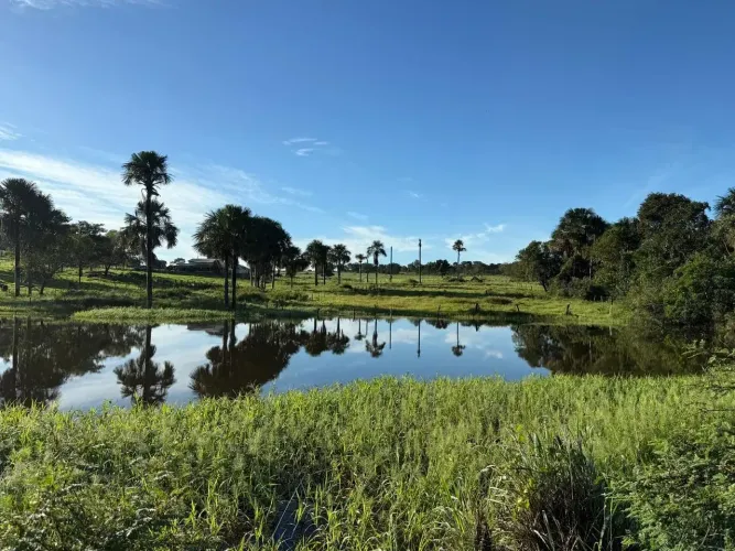 Fazenda a venda, em Montes Claros de Goiás!!!