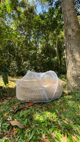 Berço Moisés e trocador de palha 