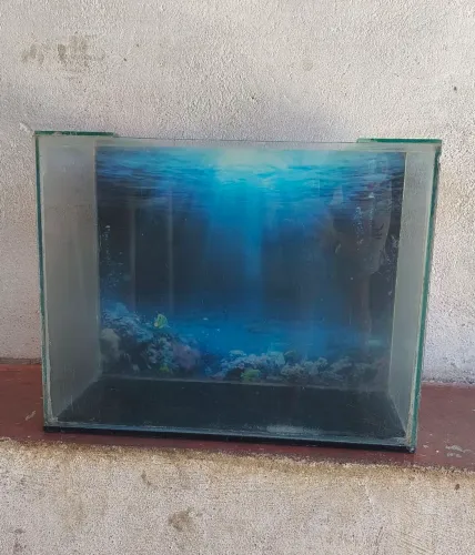 aquário já decorado em ótimo estado. Preço a negociar!