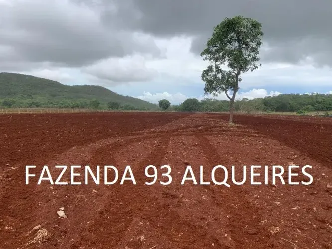 Fazenda 93 Alqueires Formada Terra Vermelha Niquelândia Goiás