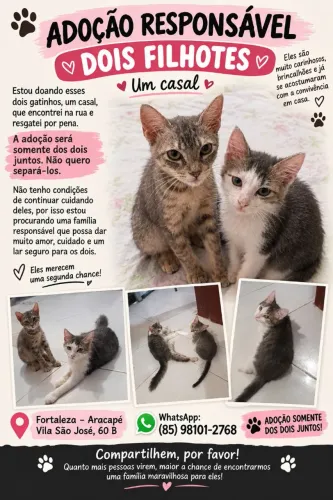 Adoção