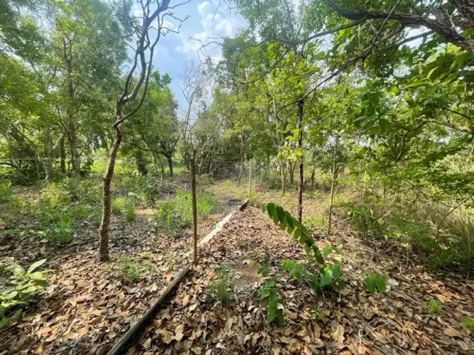 Chácara em Condomínio - 1000m2