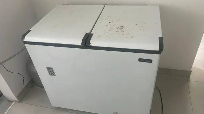 Freezer vertical 