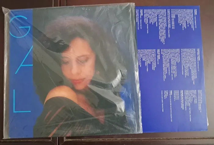 Vinil Gal