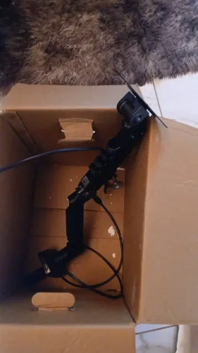 Suporte monitor CASTANHAL