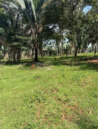 Sítio a Venda/ Propriedade Rural a Venda