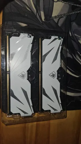 Memoria ram netack shadow 2