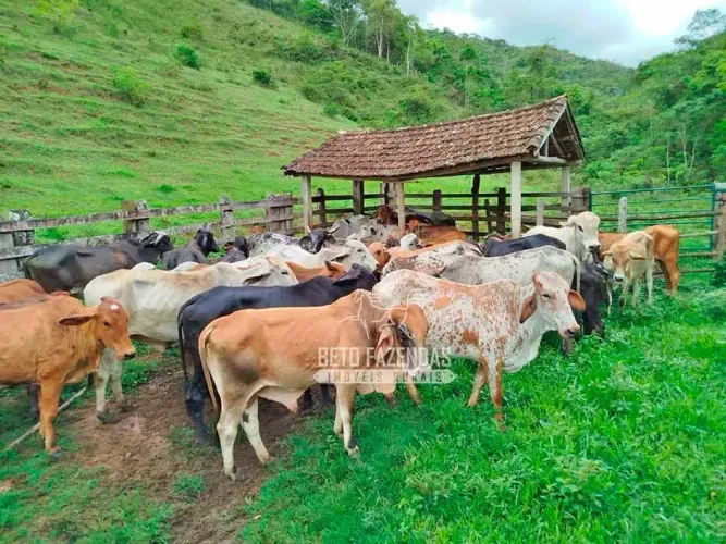 Imóvel para venda com 1936000 metros quadrados em Zona Rural - Rio Preto - MG