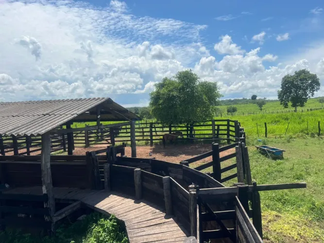 Fazenda de 1.200 hectares sentido Cáceres MT.