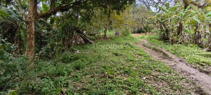 Terreno de 6.284m² no Pantanal