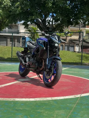 Mt03