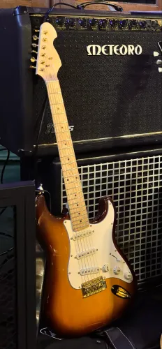 Guitarra Michael Stratocaster GMS425