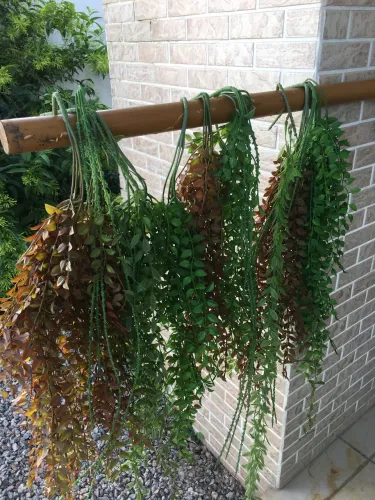 Cascata de Plantas Artificiais - Ótima qualidade 