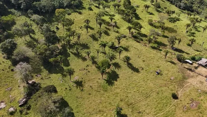 Chácara de 10 alqueires em Abadiânia-GO.