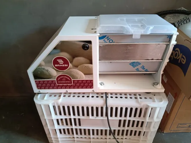 Amassadeira Semirrápida Braesi 3 kg