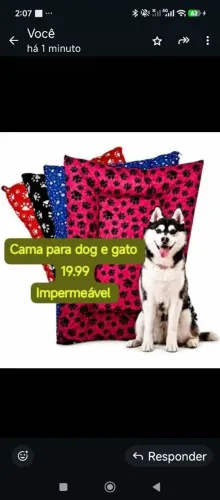 Cama para cachorro e Gato impermeável 