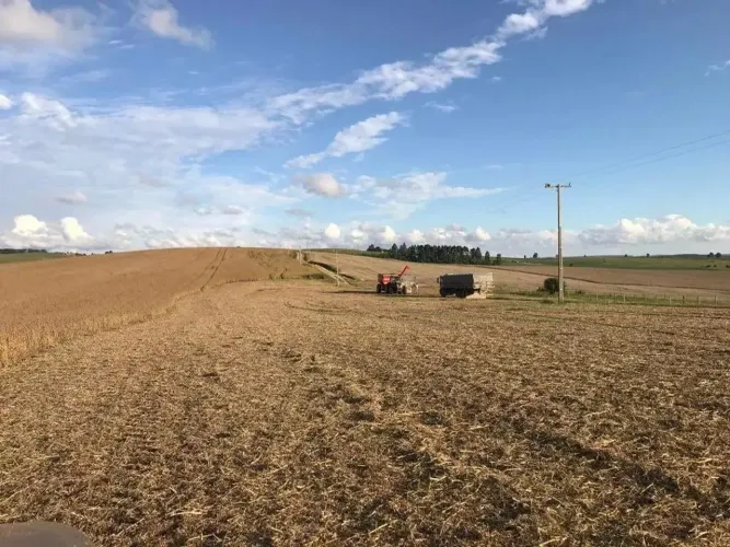 Porto Amazonas, Fazenda 389 Hectares, 161 Alqueires, plantando 92 Alqueires de soja, sede 