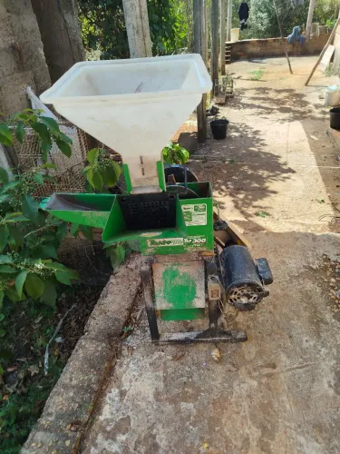 Forageira 