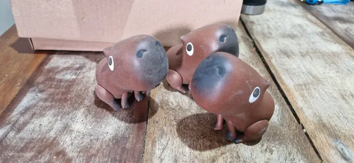 Capivara piraque 