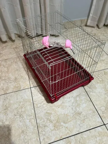 Vendo gaiola