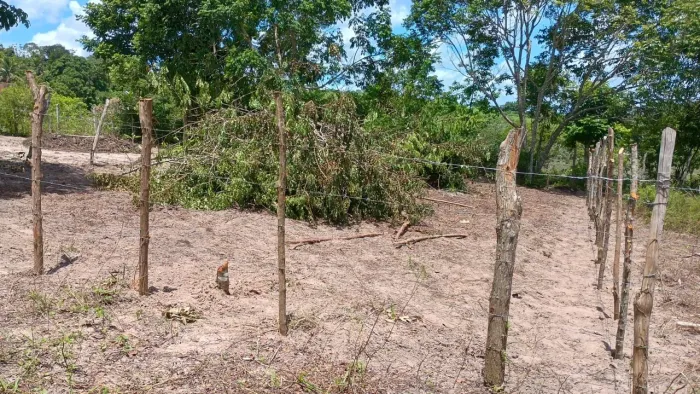 Vendo terreno 
