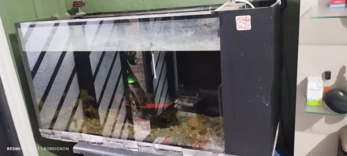 Vendo aquário 300 litros