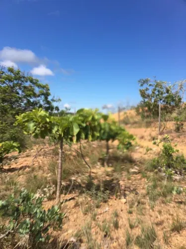 Vendo lote na serra do cipó