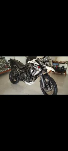 Tiger 800 xcx