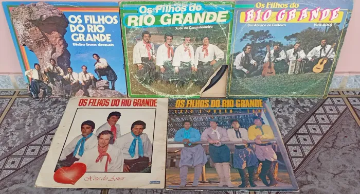LPs - Os filhos do Rio grande - lote com 05 discos de vinil - música gaúcha