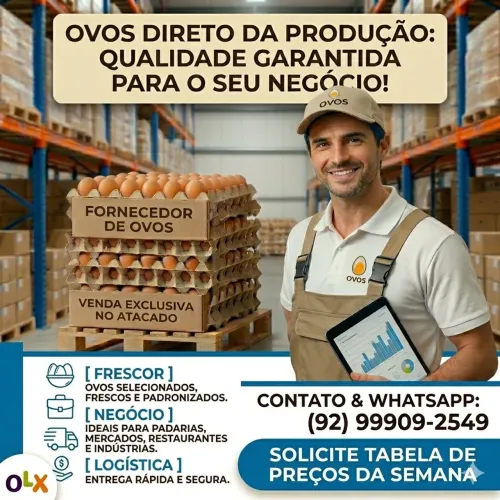 Fornecedor do ovos 