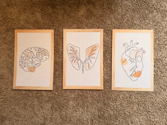 Trio de quadros decorativos com