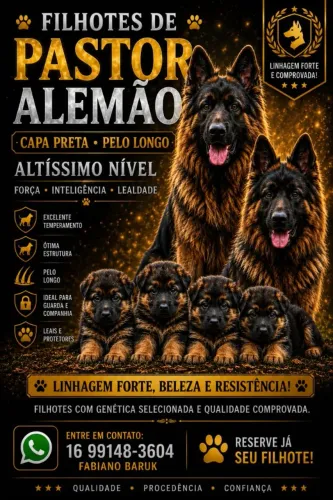 Filhote Pastor Alemão Capa Preta !!!