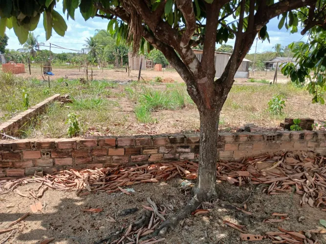 Terreno