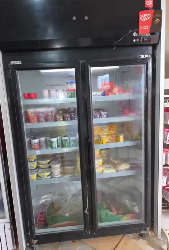 Freezer gelopar vertical